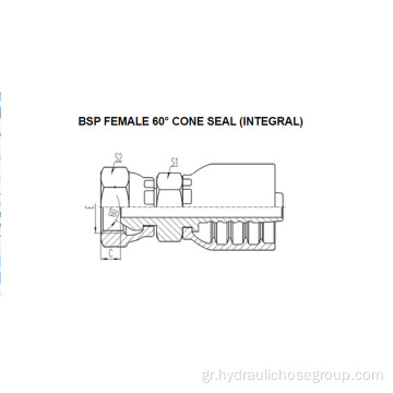 Ενσωματωμένο θηλυκό BSP 60 ° Cone 22611-F